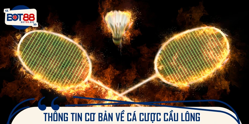 Giới thiệu về sản phẩm cá cược cầu lông là gì?