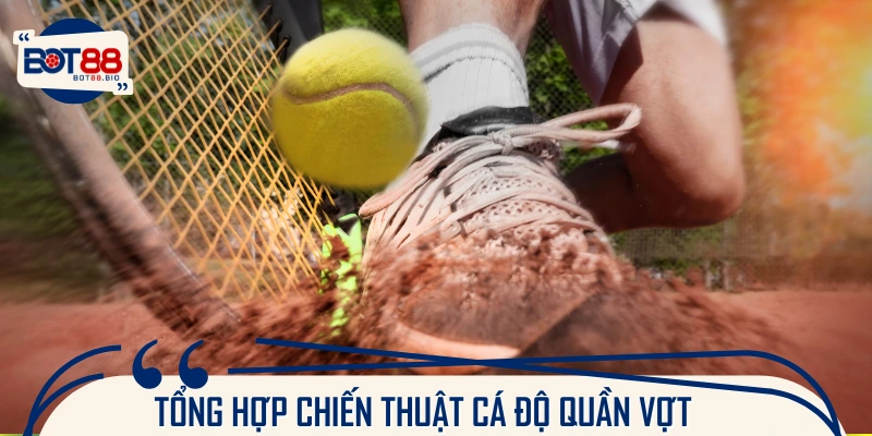 Mẹo chọn kèo Quần Vợt giúp tối ưu lợi nhuận