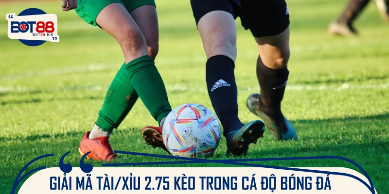 Tìm hiểu chi tiết về kèo tài xỉu 2.75 trong trận đấu
