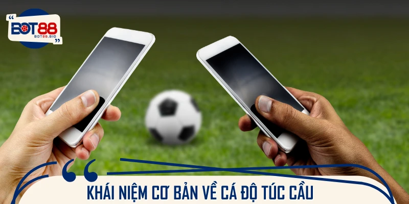 Nên hiểu gì về cá độ túc cầu?