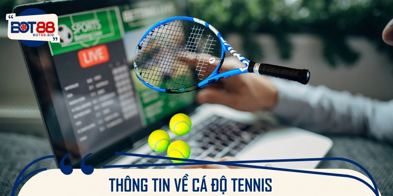 Giới thiệu về hình thức cá cược Tennis